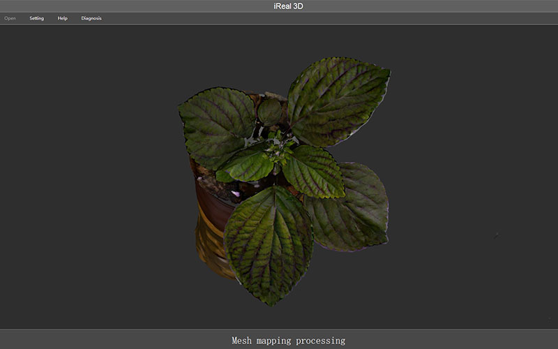 3D Scanning Plants for Botanical and Phenotypic Research